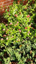 20231106_113026.webp