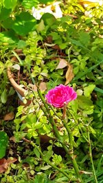 20231106_112529.jpg
