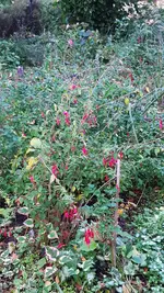 20231106_112716.webp