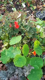 20231106_112325.webp