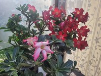 20230930_091048.jpg