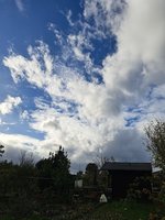 20231106_133356.jpg