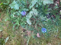 IMG_20231106_112328.webp