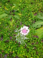 IMG_20231106_112507.jpg