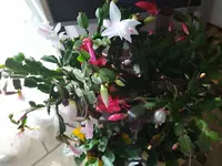 IMG_20231106_113611.webp