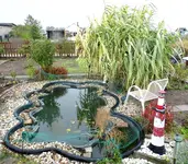 Teich 2.webp