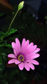 20231108_170915[1].jpg