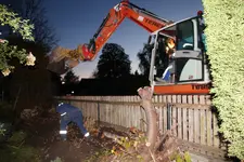 Hecke 0123.webp