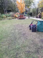 20231106_134730.webp