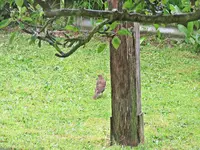 IMG_2255 v (2).webp