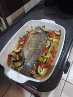 IMG_20231109_195143.jpg