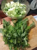IMG_20231109_184747.webp