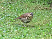 IMG_2257 - Copy.webp