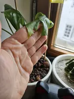 20231111_095037.webp