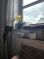 20231111_095711.jpg