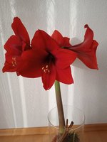 IMG_20231111_090850_1.jpg