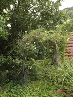 DSCF2525.webp DSCF2525.webp