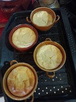 IMG_20231111_161258.jpg