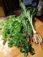 IMG_20231106_173037.webp