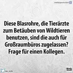 FB_IMG_1699345879950.webp