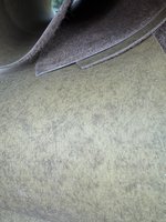 IMG_3248.jpeg
