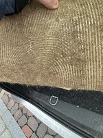 IMG_3241.jpeg