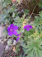 20231112_124836.webp