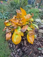 20231112_124757.webp