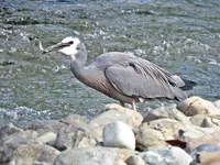 IMG_1593 bt v (2).webp