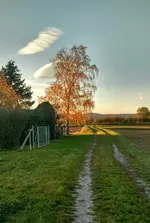 IMG_20181031_160722633_HDR.webp