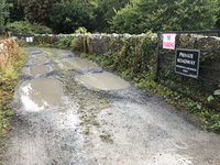 IMG_0520.jpeg