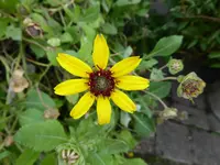 P1020650.webp