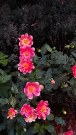 20231024_182357.webp