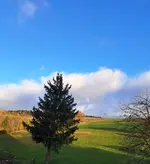 20231115_083046.webp