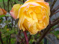 DSC03211.JPG