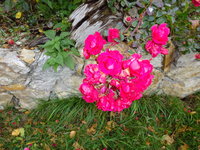DSC03208.JPG