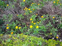 DSC03207.JPG