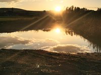 IMG_20231107_160056.jpg