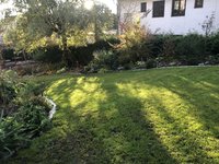 IMG_4340.jpeg
