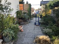 IMG_4369.jpeg