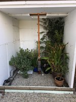IMG_4383.jpeg