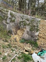 IMG_2534.jpeg