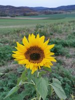 IMG_20231116_160954.jpg