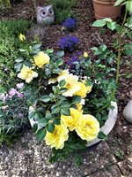 IMG_20210616_093420_1.jpg