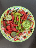IMG_3820.jpeg