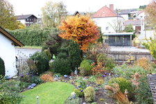 November  0423.JPG