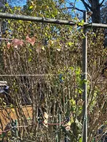 20231119_132723.webp