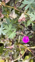 IMG_8567.webp