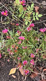 IMG_8564.jpeg