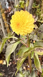 IMG_8563.webp
